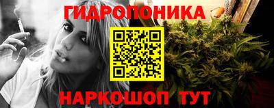 apvp Татарск