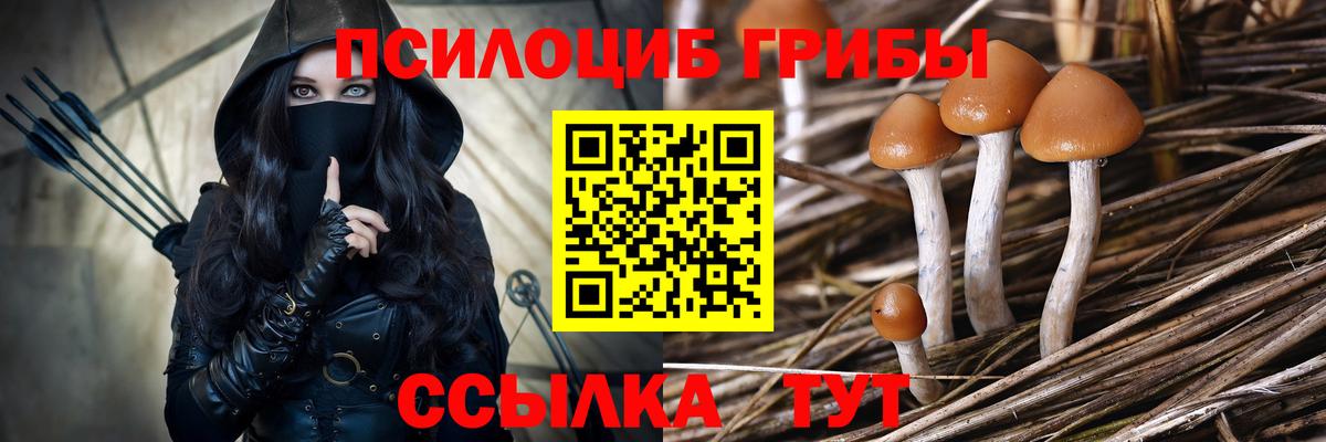 Сибай  Псилоцибиновые грибы ЛСД  Галлюциногенные грибы ЛСД  купить   Вход с VPN 