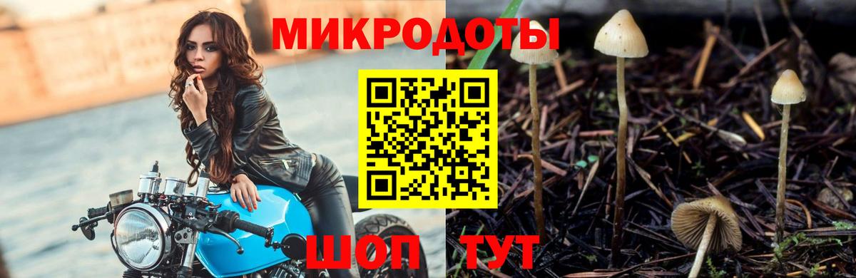 Галлюциногенные грибы прущие грибы Сибай